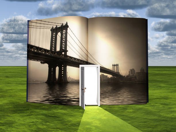 Jerseyexpress Author Lucy Wells